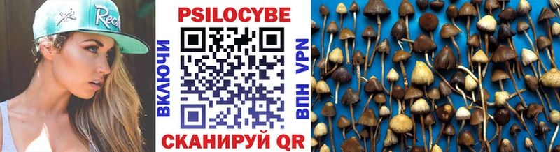 Псилоцибиновые грибы мицелий  mega вход  Бор 