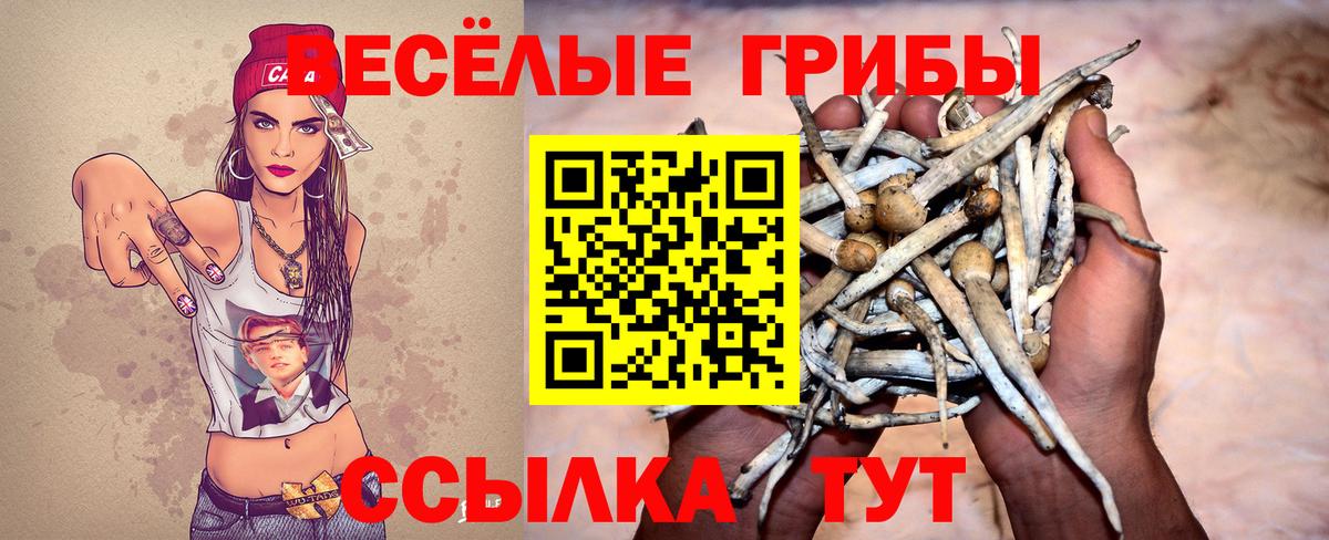 Бор  Псилоцибиновые грибы GOLDEN TEACHER  Вход с VPN 