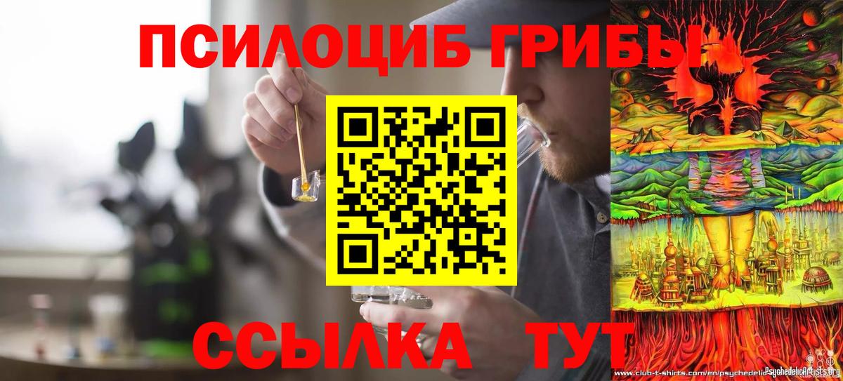 Псилоцибиновые грибы мухоморы Бор