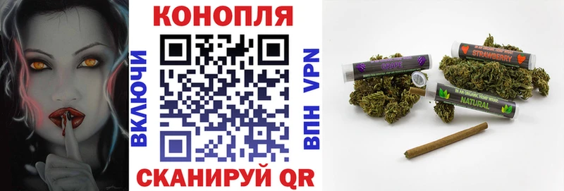 сколько стоит Бор Марихуана сатива